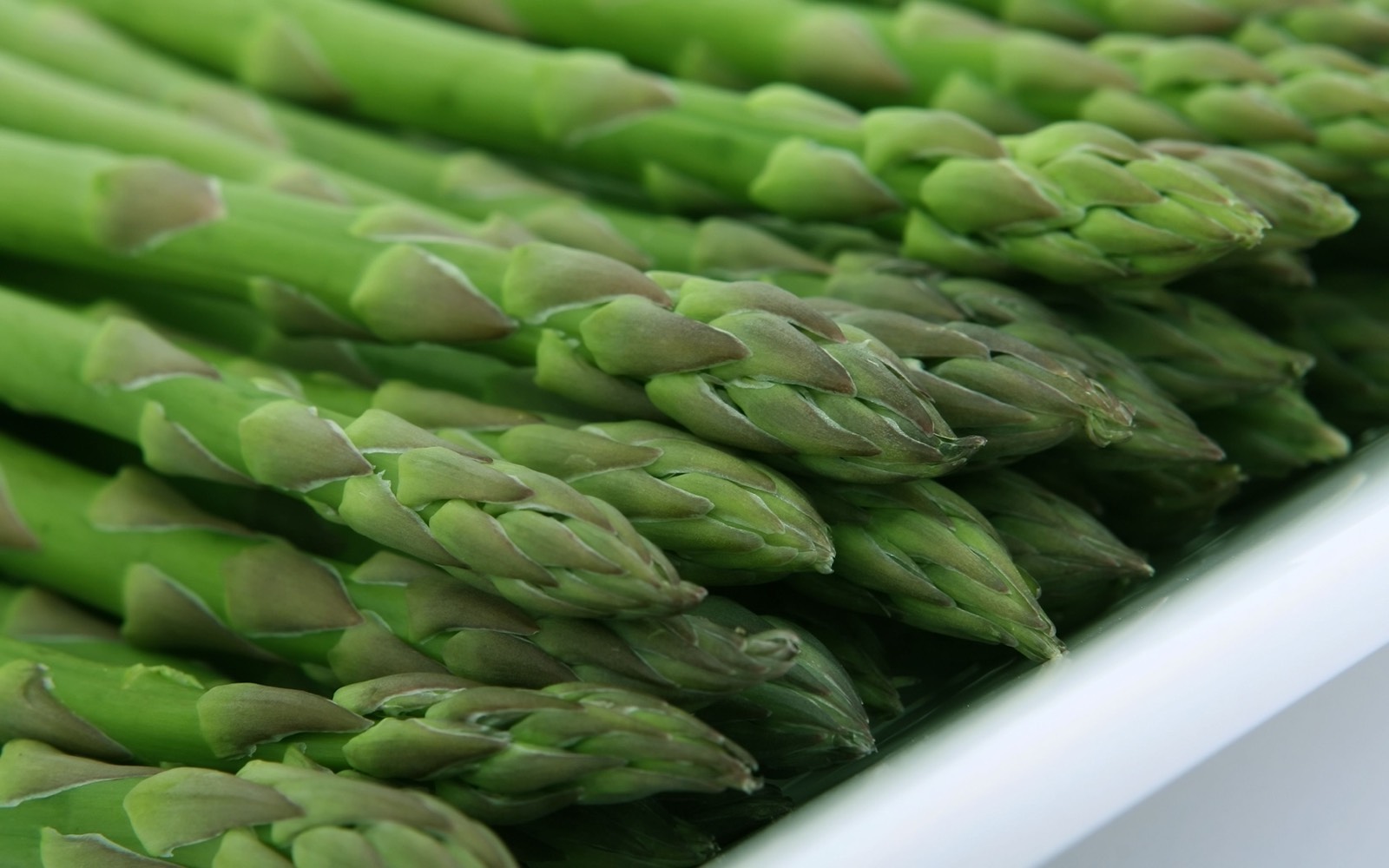 Asparagus spears