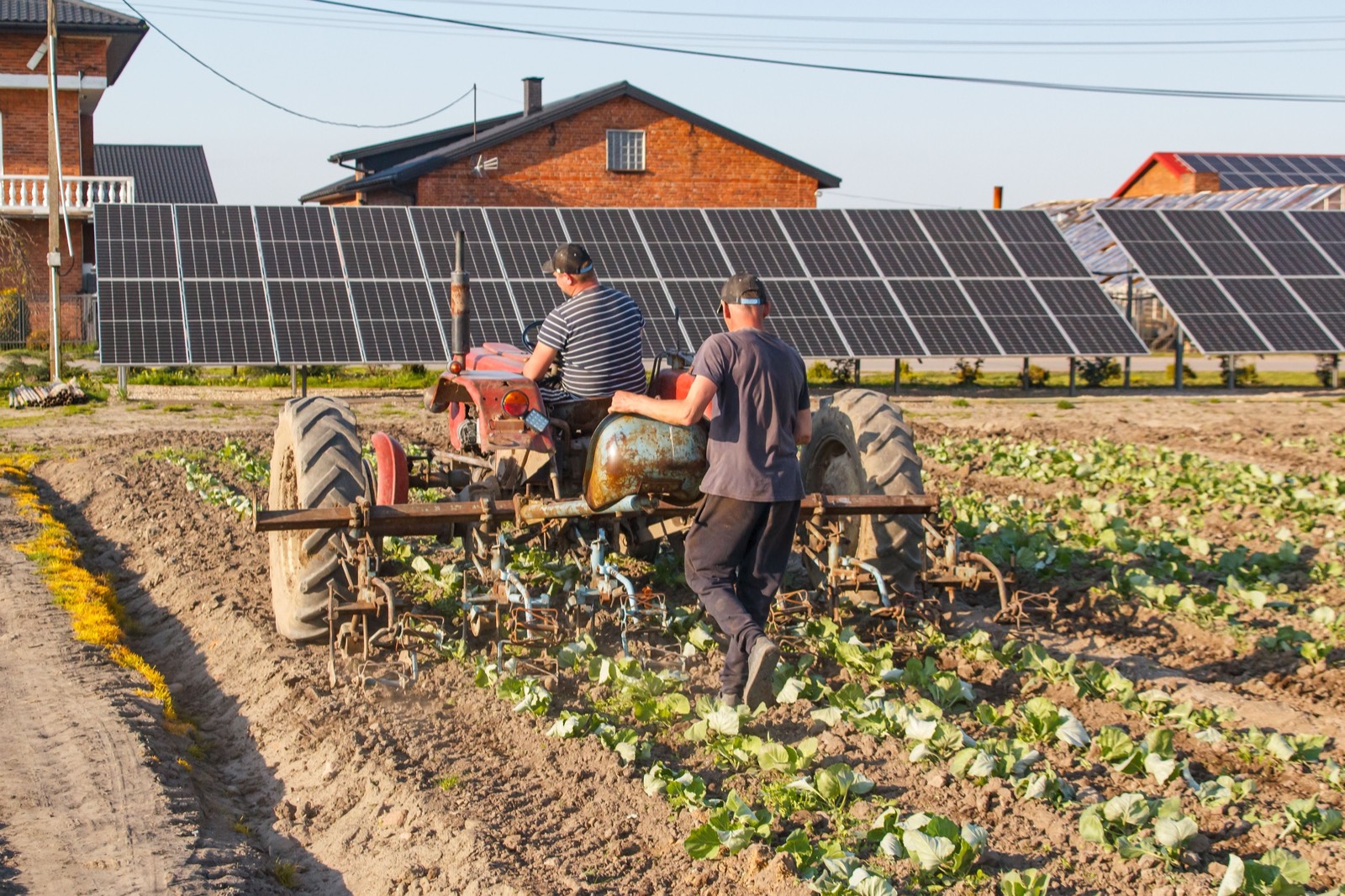 Solar panels by a field